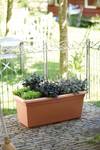 green basics garten xxl 60cm mild terra